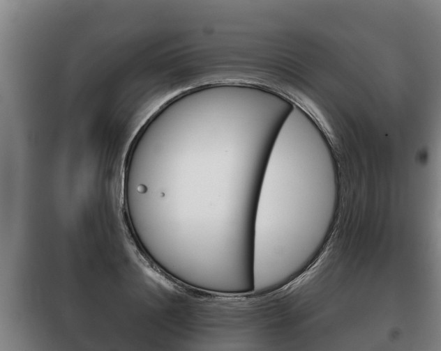 X0000100420844200806060946