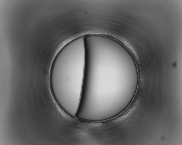 X0000100420845200806060946