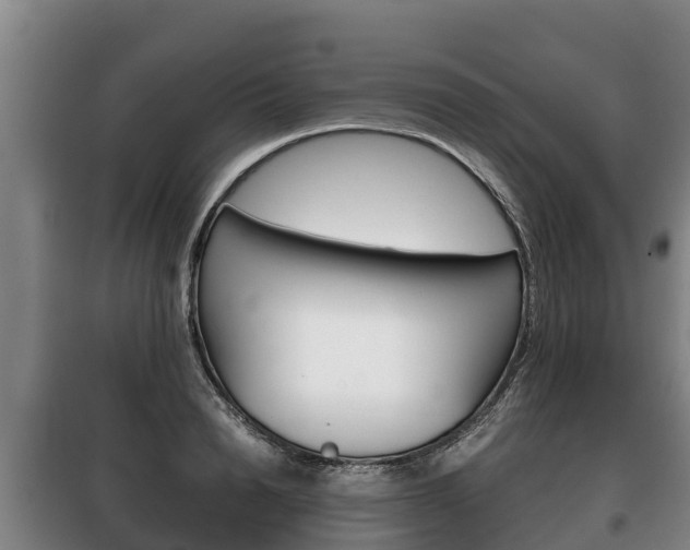 X0000100420846200806060946