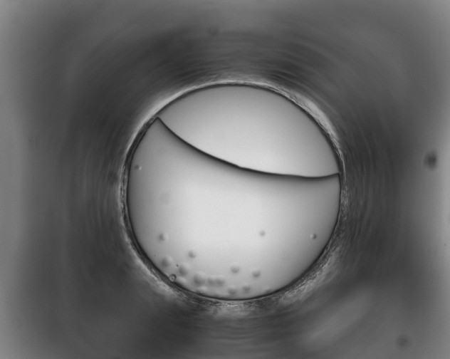 X0000100420847200806060946