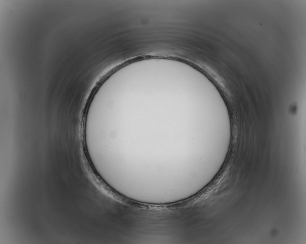 X0000100420848200806060946