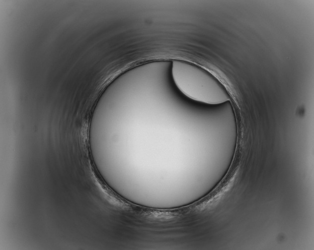 X0000100420849200806060946