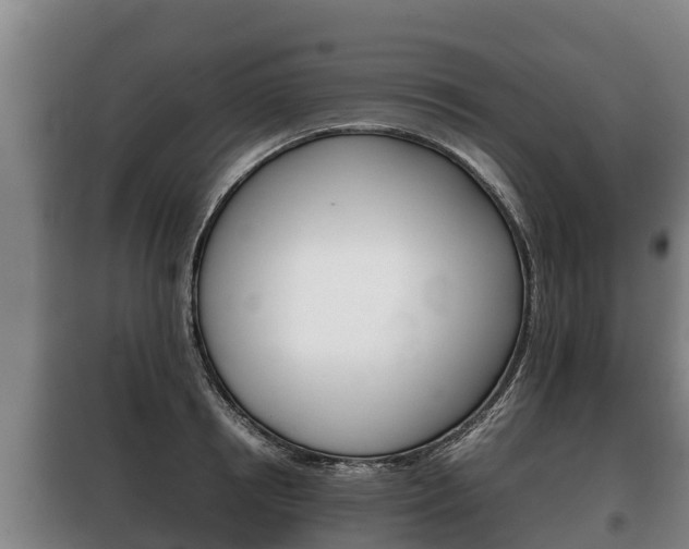 X0000100420850200806060946