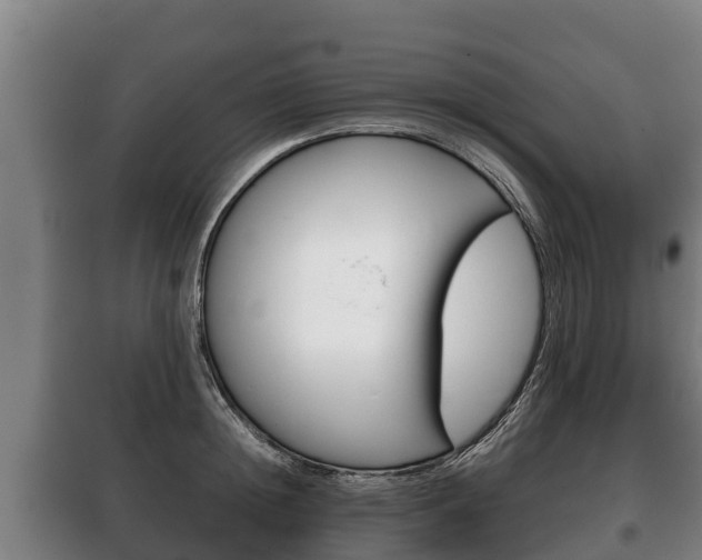 X0000100420852200806060946