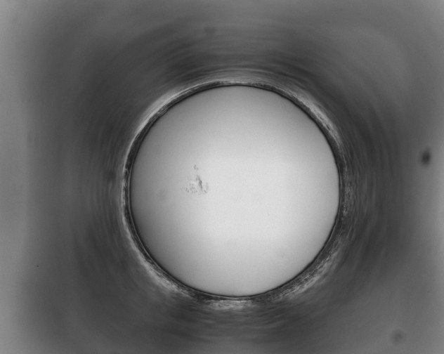 X0000100420853200806060946