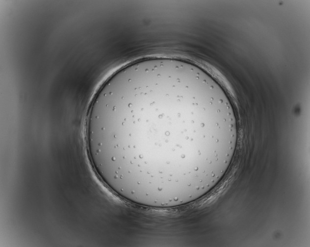 X0000100420855200806060946