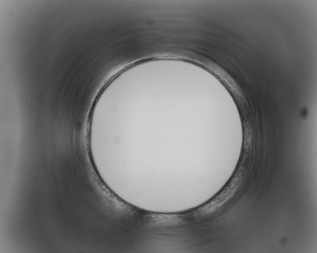 X0000100420856200806060946