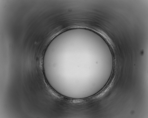 X0000100420857200806060946