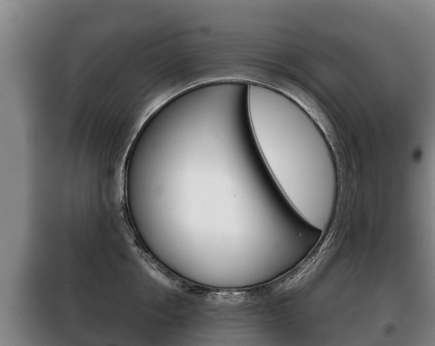 X0000100420858200806060946