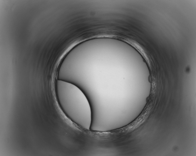 X0000100420859200806060946