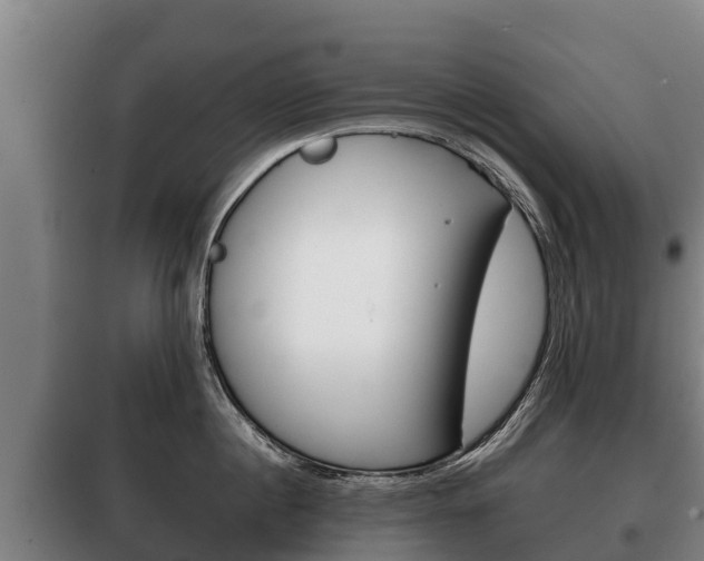 X0000100420860200806060946