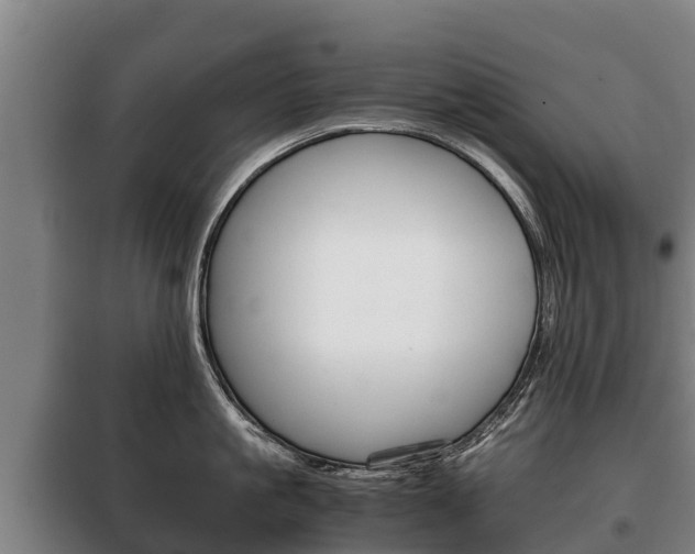 X0000100420861200806060946
