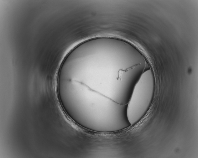 X0000100420862200806060946