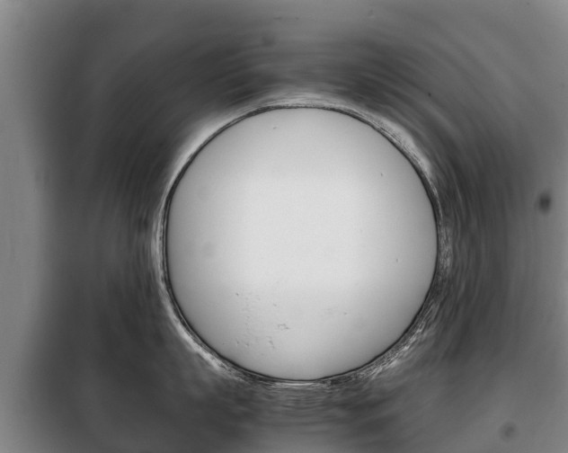 X0000100420863200806060946