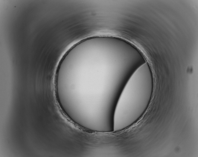 X0000100420864200806060946