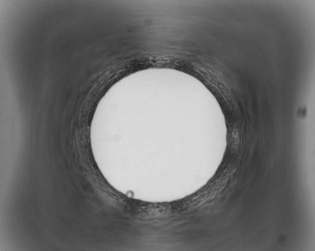 X0000100420865200806060946