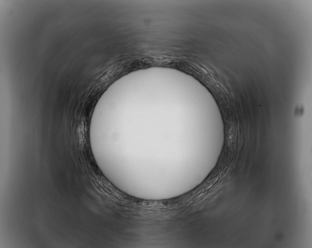 X0000100420866200806060946