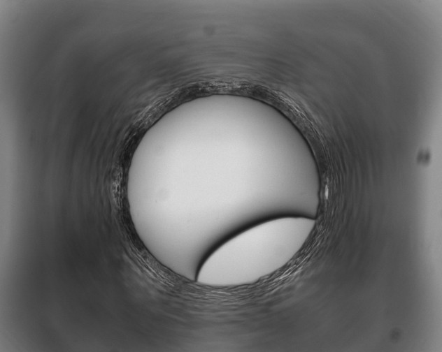 X0000100420867200806060946