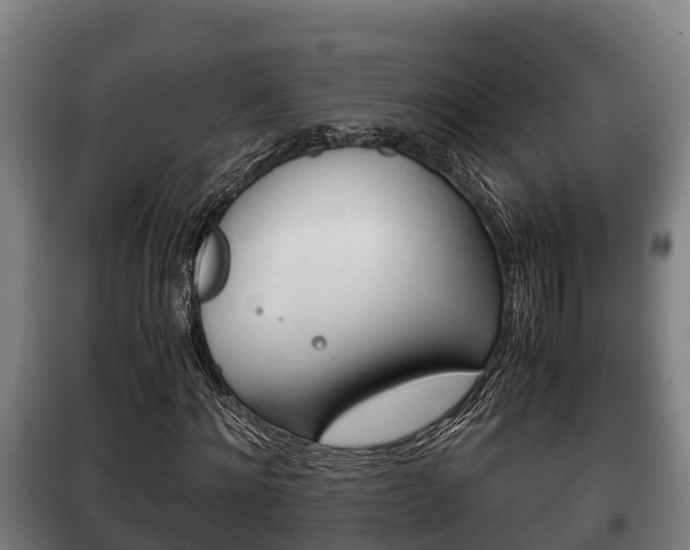 X0000100420868200806060946