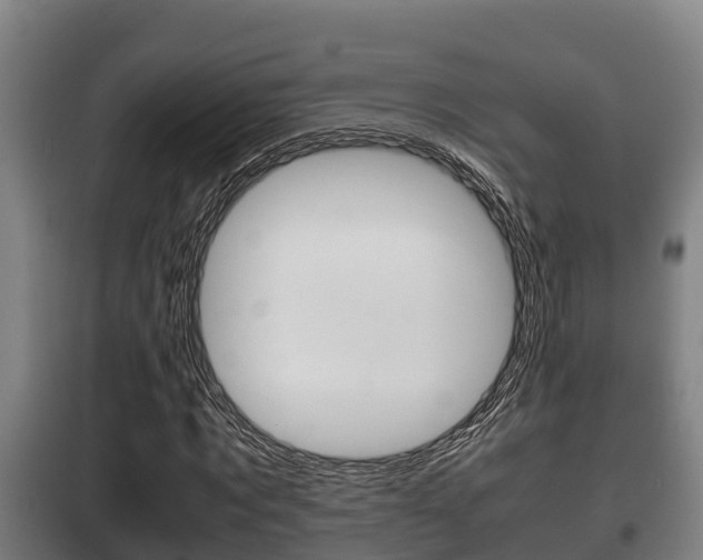 X0000100420869200806060946