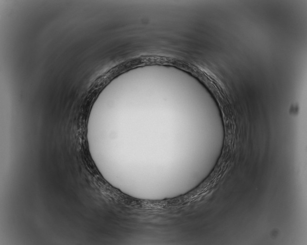 X0000100420870200806060946