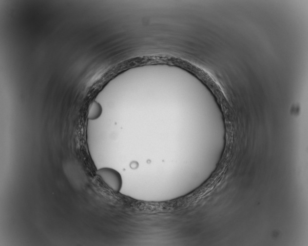 X0000100420871200806060946