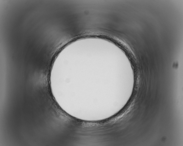 X0000100420873200806060945