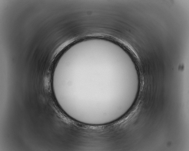 X0000100420874200806060945