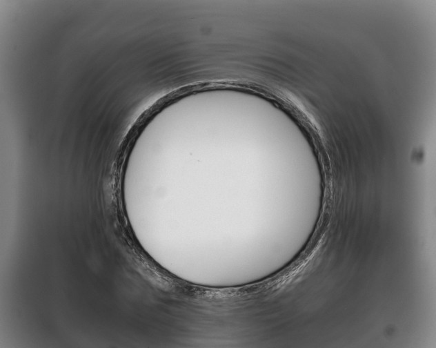 X0000100420875200806060945