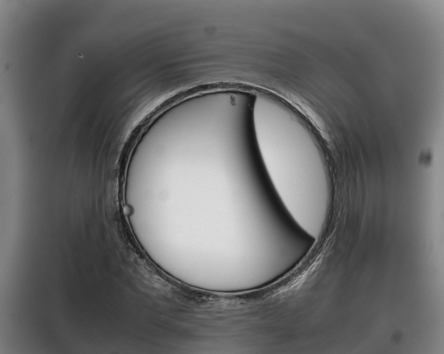 X0000100420877200806060945
