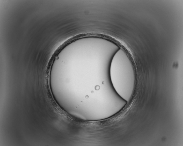 X0000100420879200806060945
