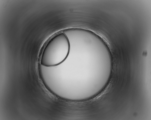 X0000100420880200806060945