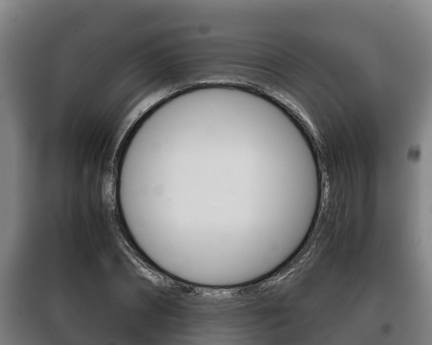 X0000100420882200806060945