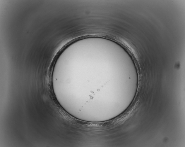 X0000100420883200806060945