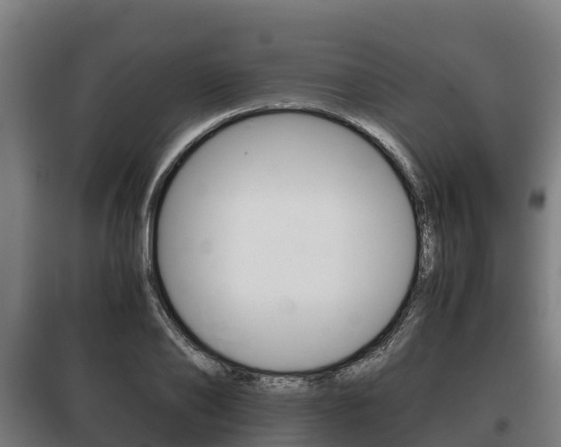 X0000100420886200806060945