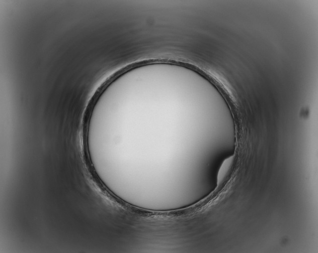 X0000100420888200806060945