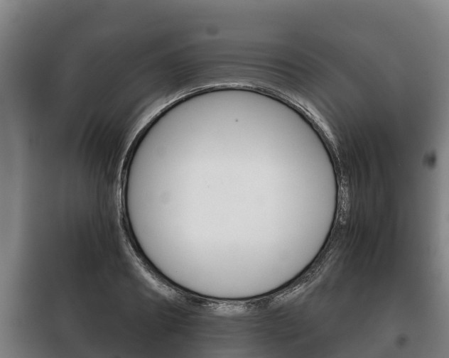 X0000100420890200806060945