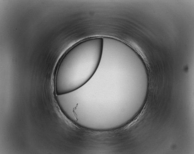 X0000100420892200806060945