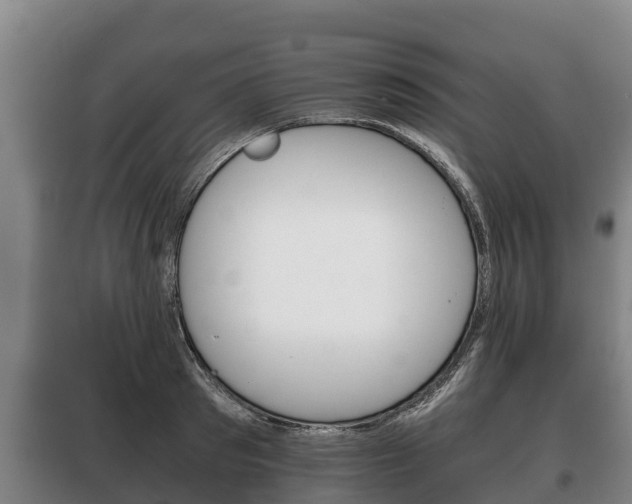 X0000100420897200806060945