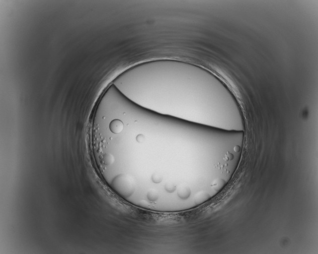 X0000100420899200806060945