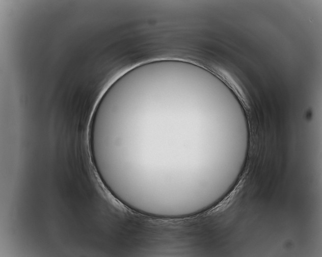 X0000100420900200806060945