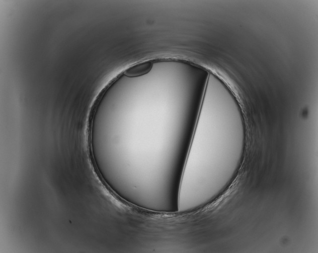 X0000100420902200806060945