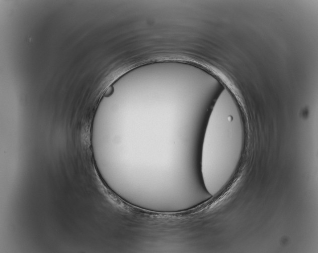 X0000100420905200806060945