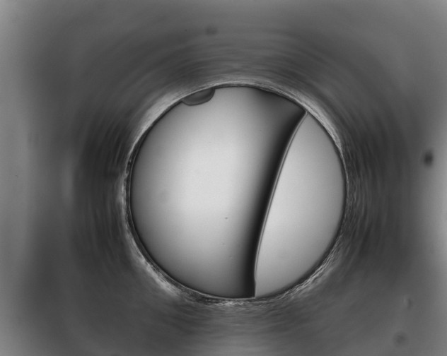 X0000100420906200806060945
