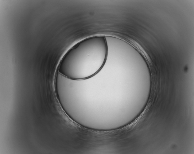 X0000100420908200806060945