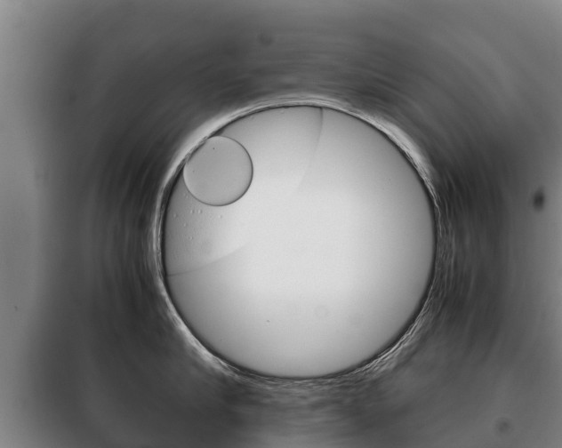 X0000100420910200806060945