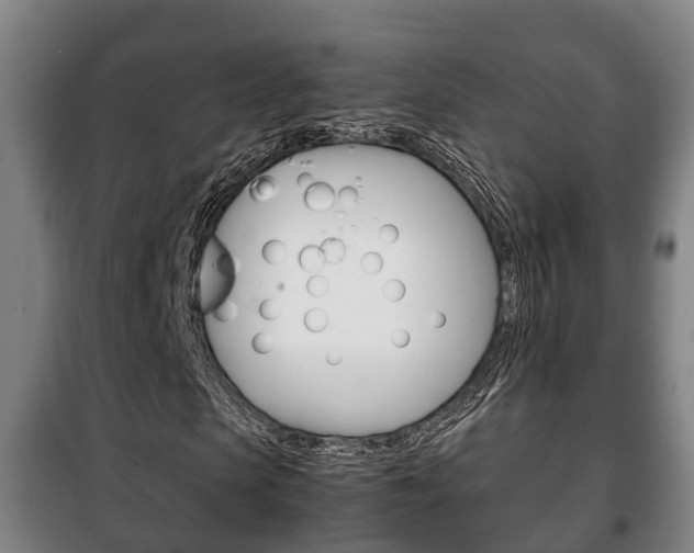 X0000100420913200806060944