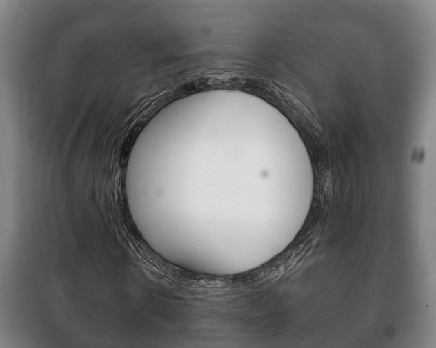 X0000100420914200806060944