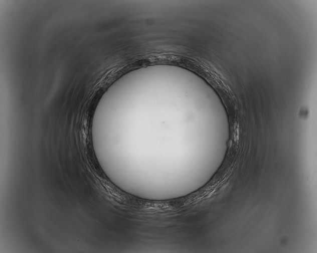 X0000100420915200806060944