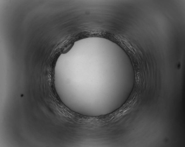 X0000100420916200806060944